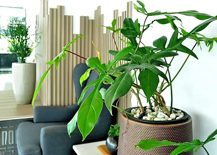 Norn Riverside Hotell Bangkok